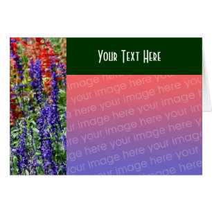 Jardin de fleurs Carte photo Floral