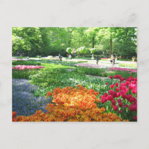 Jardin de Keukenhof - Holland carte postale