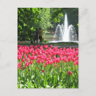 Jardin de Keukenhof - Holland carte postale