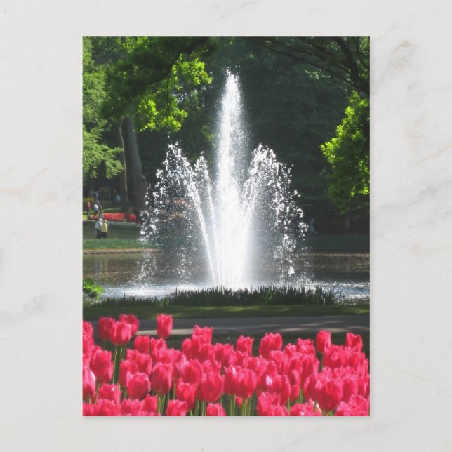 Jardin de Keukenhof - Holland carte postale (Devant)