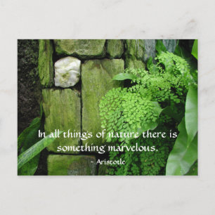 Jardin de pierre : Aristote - Carte postale