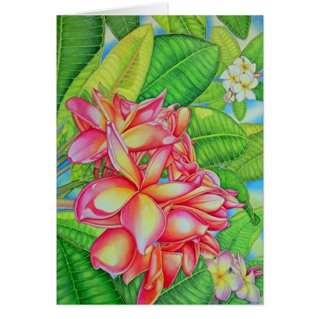 Jardin de Plumeria (Devant)