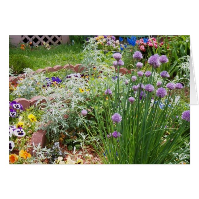 Jardin de printemps (Devant horizontal)