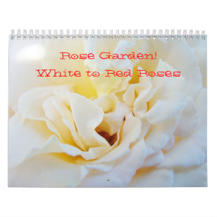 Jardin de roses ! Calendriers Photographie Blanc à