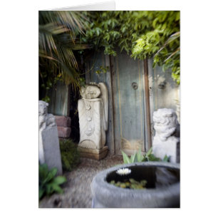 Jardin d'éclaircissement