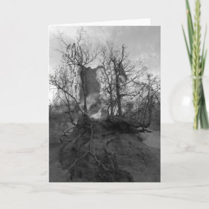 Jardin des Dieux Carte de photographie du parc Col