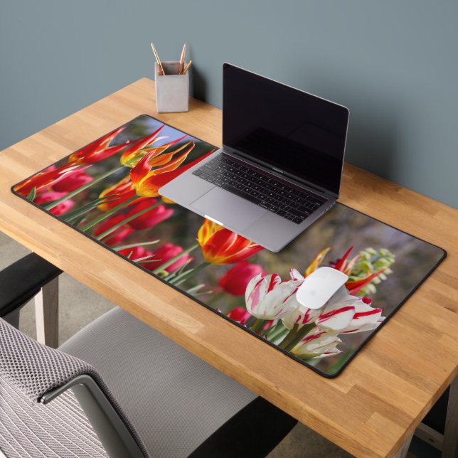 Jardin des flammes florales (Bureau 2)