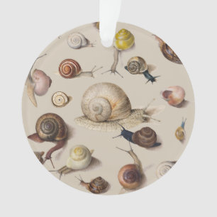 Jardin d'escargots Animaux de compagnie Gastropod