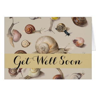 Jardin d'escargots Animaux de compagnie Gastropod 