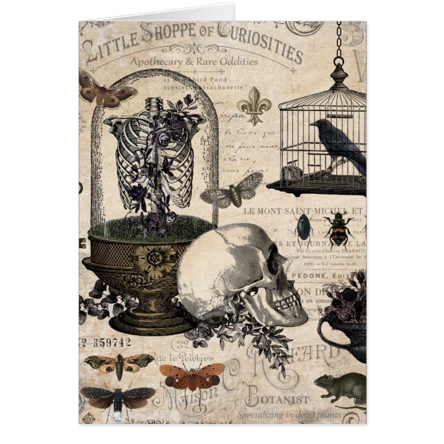 Jardin d'Halloween Vintage (Devant)