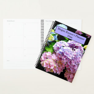 Jardin d'Hydrangea, rose, bleu, mauve maman à fleu