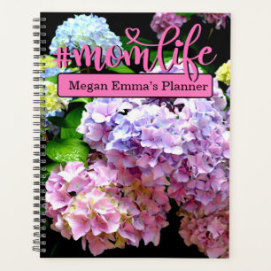 Jardin d'Hydrangea, rose, bleu, mauve maman à fleu