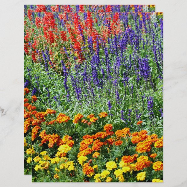Jardin Fleur Coloré En Été Scrapbook (Devant / Derrière)