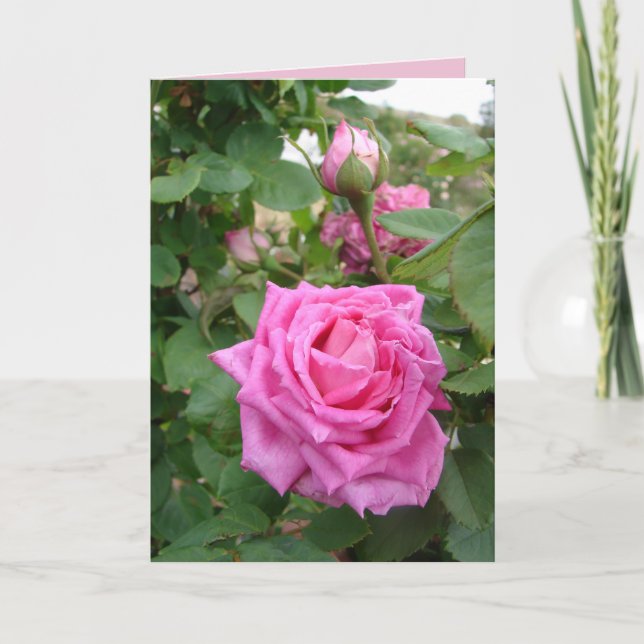 Jardin fleuri Vintage rose Rose Rose Carte (Devant)