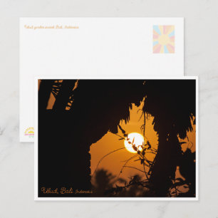 Jardin Golden Sunset Ubud – Carte Postale Artistiq
