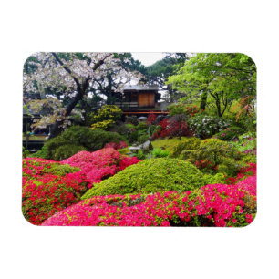 Jardin japonais de thé de San Francisco #12 Magnet