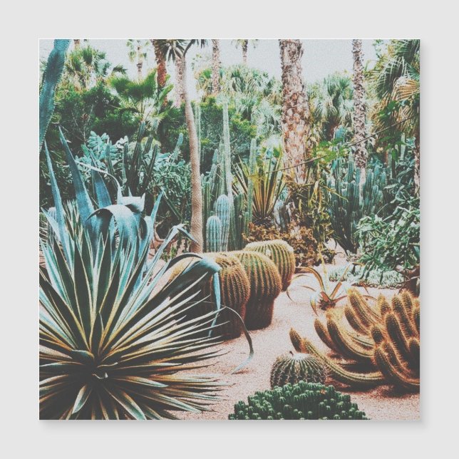 Jardin Majorelle - Marrakech - Maroc (Devant)