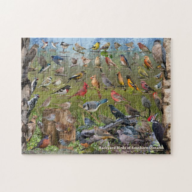 Jardin Oiseaux de l'Ontario Puzzle (Horizontal)