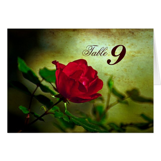 jardin rouge rose steampunk gothique mariage (Devant Horizontal)