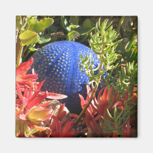 Jardin sous-marin de Plante avec aimant d'orbe