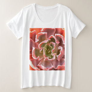 Jardin superbe Les tons roses Succulents Art réali