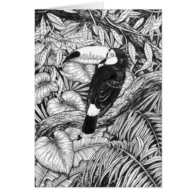 Jardin tropical toucan (Devant)