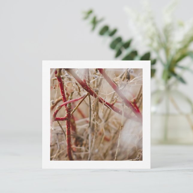 Jardinage Carte de visite Roses sauvages (Debout devant)