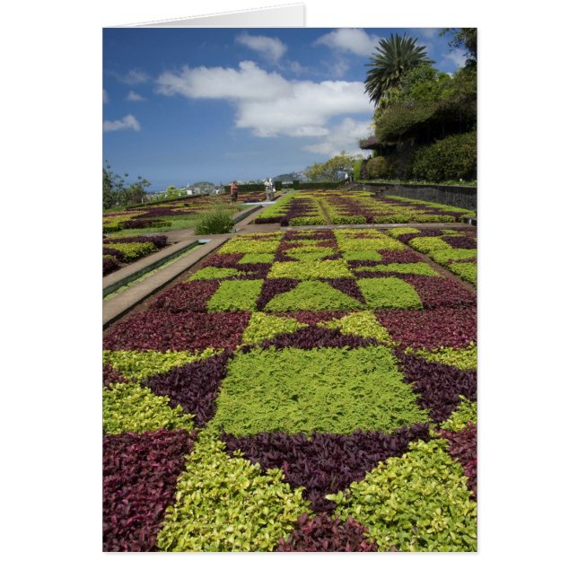 Jardins botaniques, Funchal, îles de Madère, (Devant)