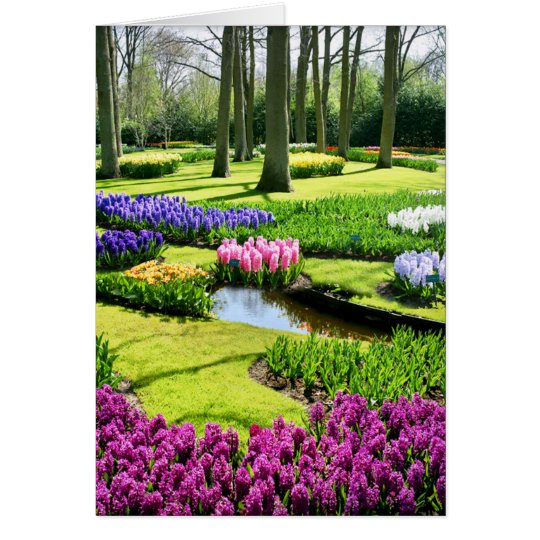 JARDINS DE KEUKENHOF, LISSE HOLLANDE CARTES