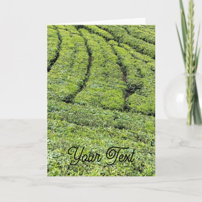 Jardins de thé de Munnar sur carte de vœux (Devant)