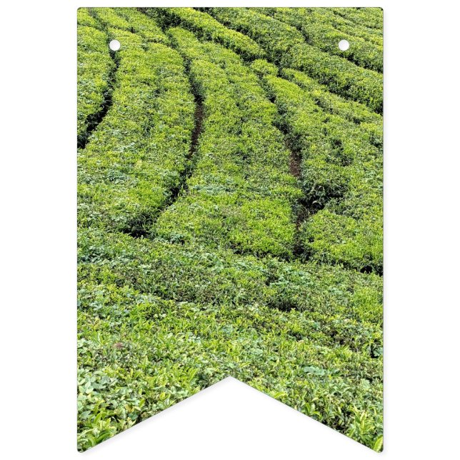 Jardins de thé de Munnar sur drapeaux de bunting (Premier drapeau)