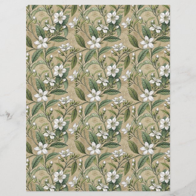 Jasmin Fleurs bontanique papier à grattoir beige (Devant)