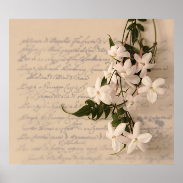 jasmine sur l'ancienne écriture manuscrite poster  (Devant)