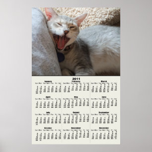 Jasper Chaton Bâillant Calendrier 2011 Affiche