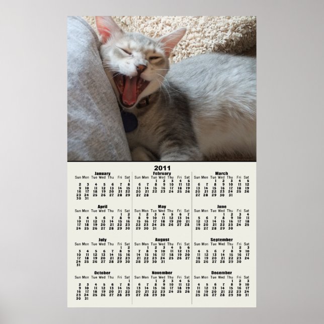 Jasper Chaton Bâillant Calendrier 2011 Affiche (Devant)