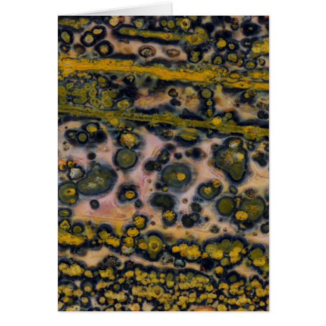 Jasperge à taches jaunes (Devant)