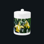 Jaune Daffodils fleurs dans la neige<br><div class="desc">Jaune Daffodils fleurs dans la neige Photo par Sandy Closs Jaune,  Daffodils,  jonquilles,  fleurs,  fleur,  floral,  neige,  printemps,  faune,  fleurs sauvages,  montagne</div>
