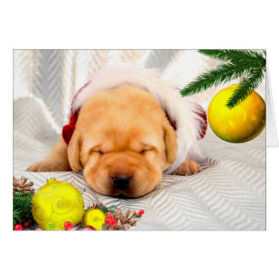 Jaune de la semaine 2 de gratitude