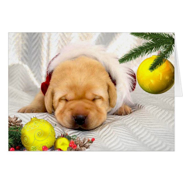 Jaune de la semaine 2 de gratitude (Devant horizontal)