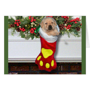 Jaune de la semaine 3 de gratitude