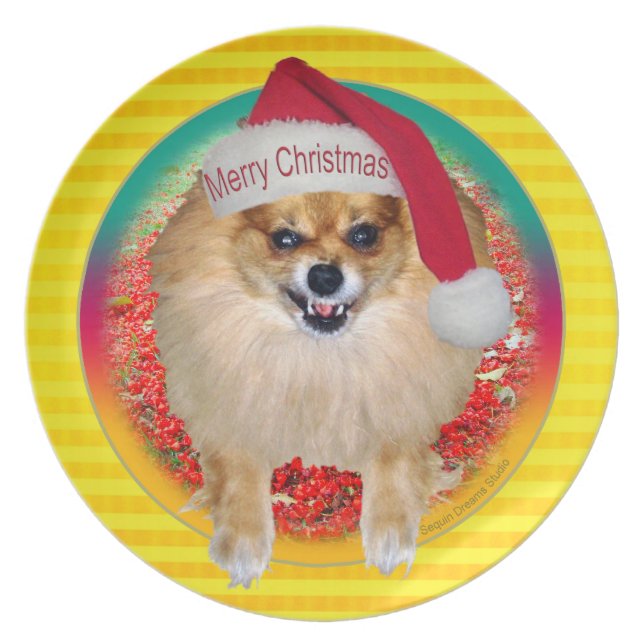 Jaune de Père Noël Pomeranian du mauvais du plat | (Devant)