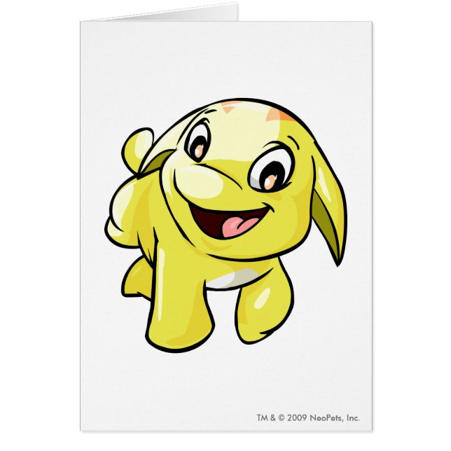 Jaune de Poogle (Devant)