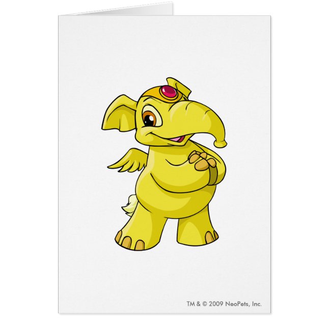 Jaune d'Elephante (Devant)