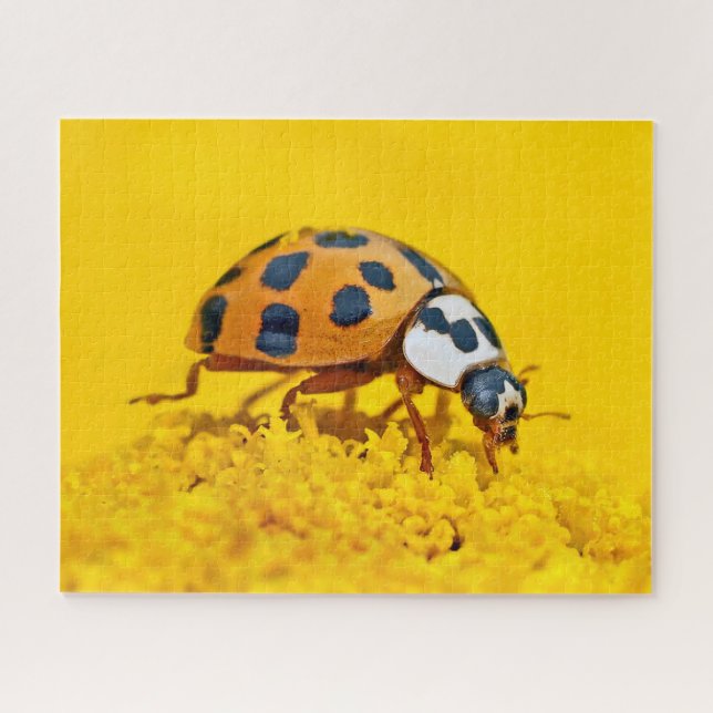 Jaune Ladybird, puzzle (Horizontal)