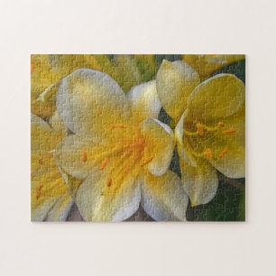 Jaune Lily Fleurs Jaune Puzzle Jardin Floral
