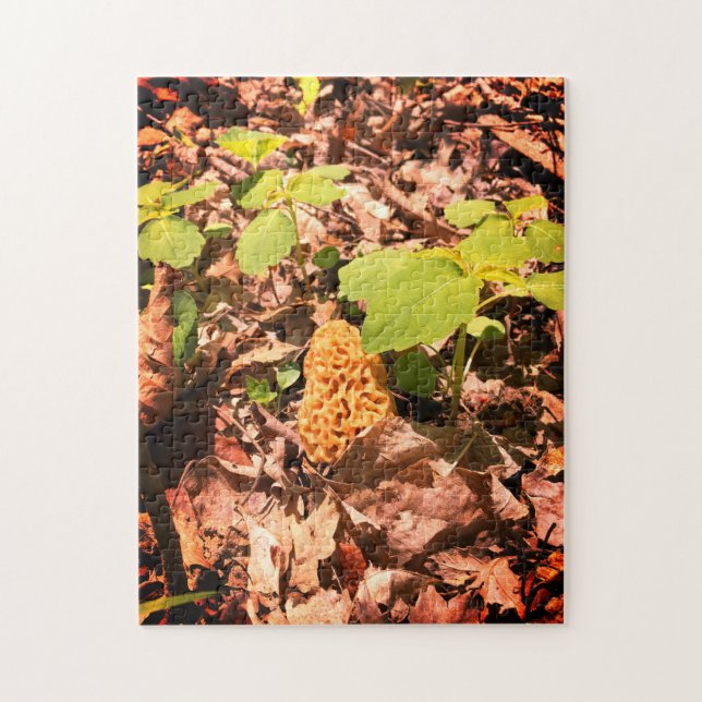 Jaune Morel Puzzle (Vertical)