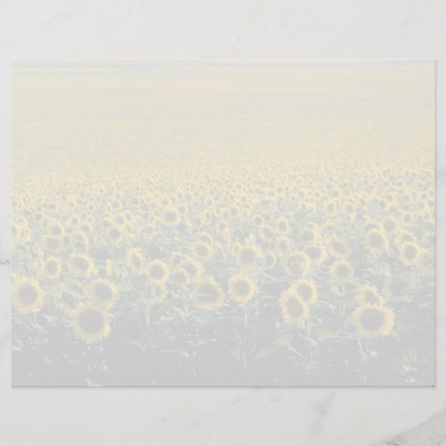 jaune Un terrain de tournesol en Espagne fleurs (Devant)