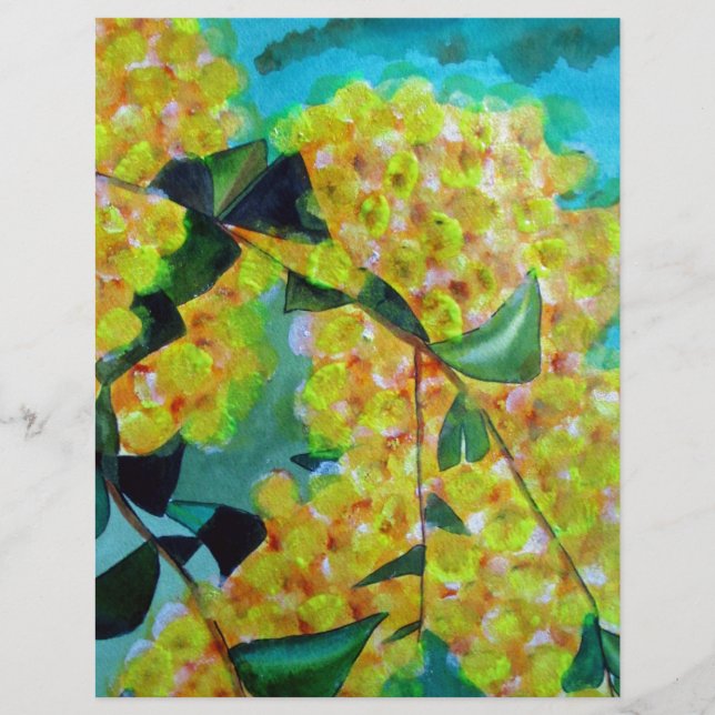 Jaune Wattle (Devant)