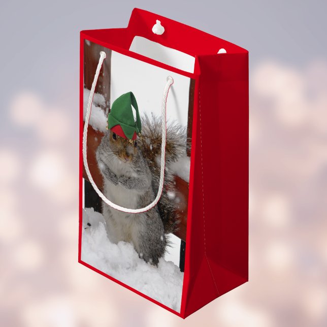 Jaunty Squirrel avec Elf Casquette Holiday Sac (Créateur téléchargé)