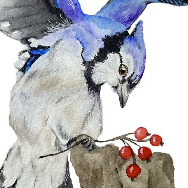 Jay bleu d'oiseau de la forêt (Créateur téléchargé)